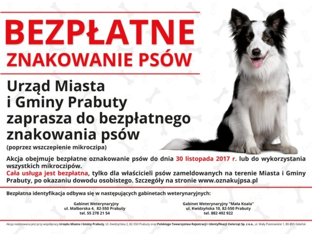 Bezpłatne znakowanie psów Bezpłatne znakowanie psów