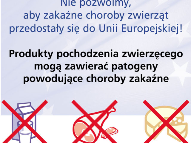 Ostrzeżenie przed afrykańskim pomorem świń Ostrzeżenie przed afrykańskim pomorem świń