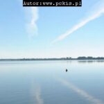 Aktualności