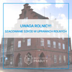 Uwaga Rolnicy! Szacowanie szkód w uprawach rolnych