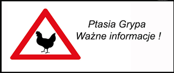 Wysoce zjadliwa grypa ptaków – ważne informacje