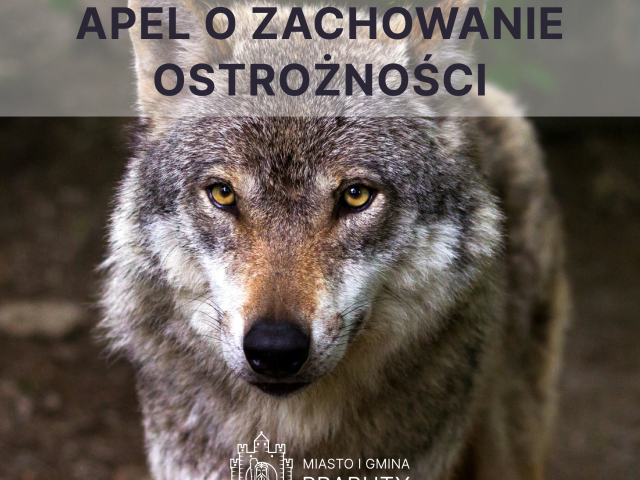 Apel do mieszkańców gminy Prabuty o zachowanie ostrożności